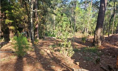 Bonito terreno en zona de bosque con materiales de construccion