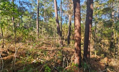 Bonito terreno en zona de bosque con materiales de construccion