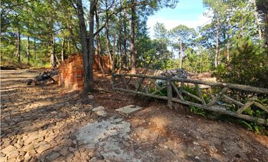 Bonito terreno en zona de bosque con materiales de construccion