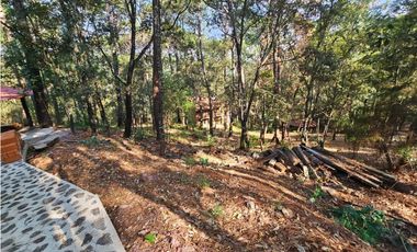 Bonito terreno en zona de bosque con materiales de construccion