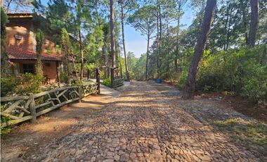 Bonito terreno en zona de bosque con materiales de construccion