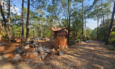 Bonito terreno en zona de bosque con materiales de construccion