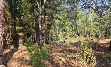 Bonito terreno en zona de bosque con materiales de construccion