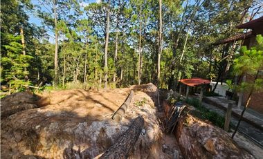 Bonito terreno en zona de bosque con materiales de construccion
