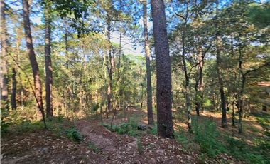 Bonito terreno en zona de bosque con materiales de construccion