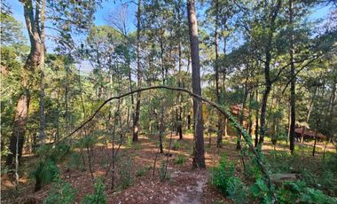 Bonito terreno en zona de bosque con materiales de construccion