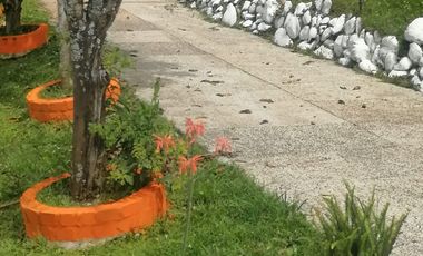 Se Vende Finca En La Vereda El Mango