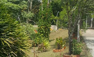 Se Vende Finca En La Vereda El Mango