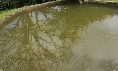 Se Vende Finca En La Vereda El Mango