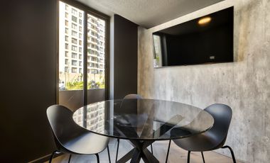 Vicuña Urban [1322-16]