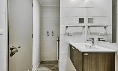 Vicuña Urban [1322-16]