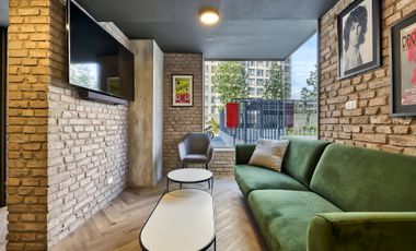 Vicuña Urban [1322-16]