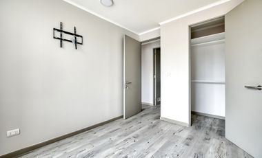 Vicuña Urban [1322-16]