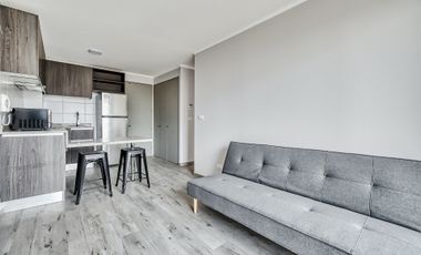 Vicuña Urban [1322-16]
