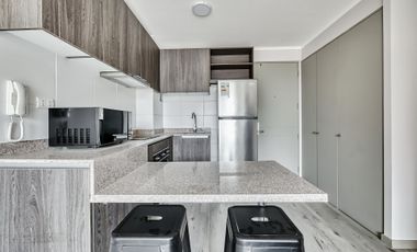 Vicuña Urban [1322-16]
