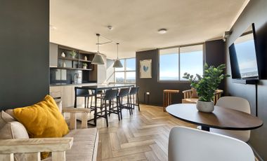 Vicuña Urban [1322-16]