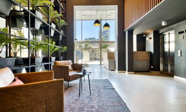 Vicuña Urban [1322-16]
