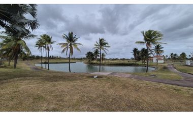 Penthouse en Venta con Vista al Mar – PH Las Olas 2 | San Carlos - LH