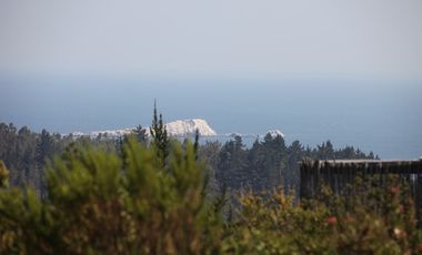 Casa de bosque y mar a pasos de la playa
