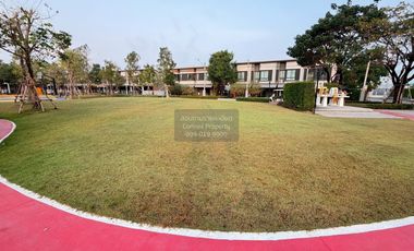 FOR RENT Townhouse/Townhome  Pleno Town Pinklao - Sai 5  CX-151868