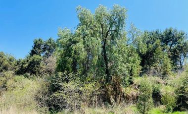 VENTA DE TERRENO EN SAN LUCAS, Tlaxcala