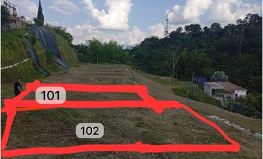 🌿 Lotes en venta – Quimbaya, Quindío