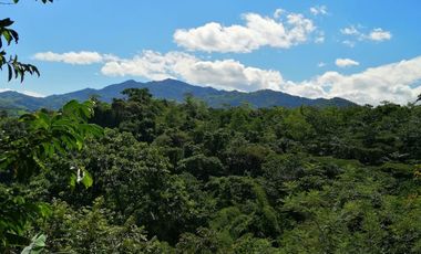 Finca en Venta Nocaima Cundinamarca