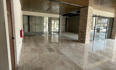 Renta Local 12 – Plaza Real de Juriquilla, Querétaro