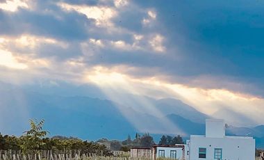Viñedo y Refugio para huéspedes en Valle de Uco