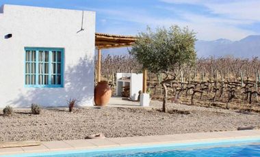 Viñedo y Refugio para huéspedes en Valle de Uco