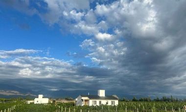 Viñedo y Refugio para huéspedes en Valle de Uco