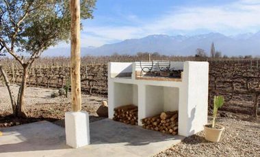 Viñedo y Refugio para huéspedes en Valle de Uco