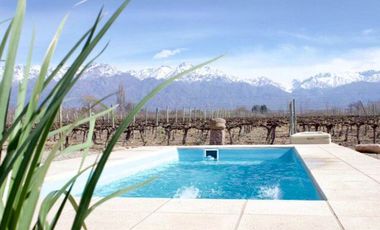 Viñedo y Refugio para huéspedes en Valle de Uco
