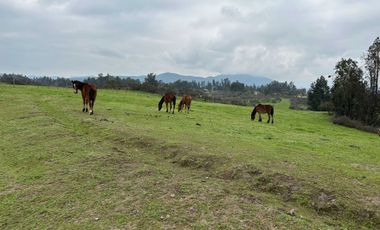 Parcela en venta  en MELIPILLA