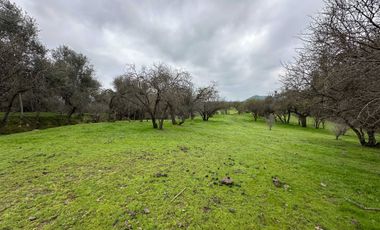 Parcela en venta  en MELIPILLA