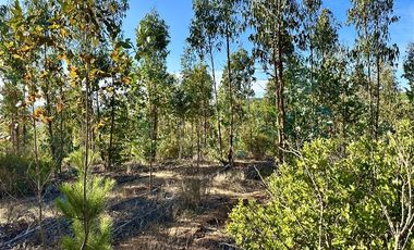 Parcela en Venta en San Pedro de Alcantara