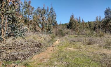 Parcela en Venta en San Pedro de Alcantara
