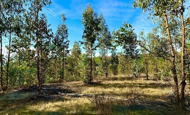Parcela en Venta en San Pedro de Alcantara