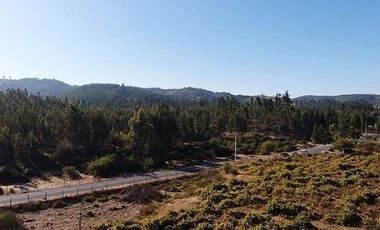 Parcela en Venta en San Pedro de Alcantara