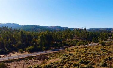Parcela en Venta en San Pedro de Alcantara