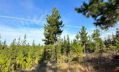 Parcela en Venta en San Pedro de Alcantara
