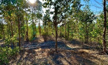 Parcela en Venta en San Pedro de Alcantara