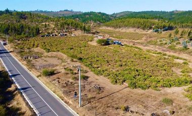 Parcela en Venta en San Pedro de Alcantara