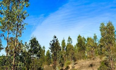 Parcela en Venta en San Pedro de Alcantara
