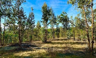 Parcela en Venta en San Pedro de Alcantara