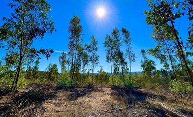 Parcela en Venta en San Pedro de Alcantara