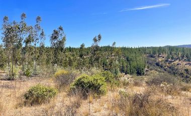 Parcela en Venta en San Pedro de Alcantara
