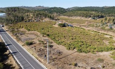 Parcela en Venta en San Pedro de Alcantara