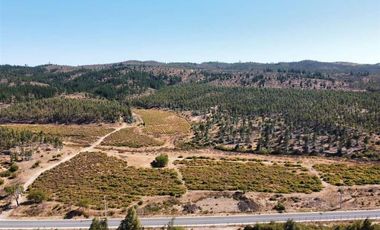 Parcela en Venta en San Pedro de Alcantara