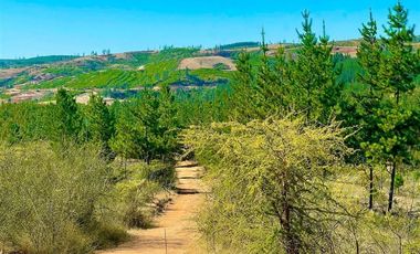 Parcela en Venta en San Pedro de Alcantara